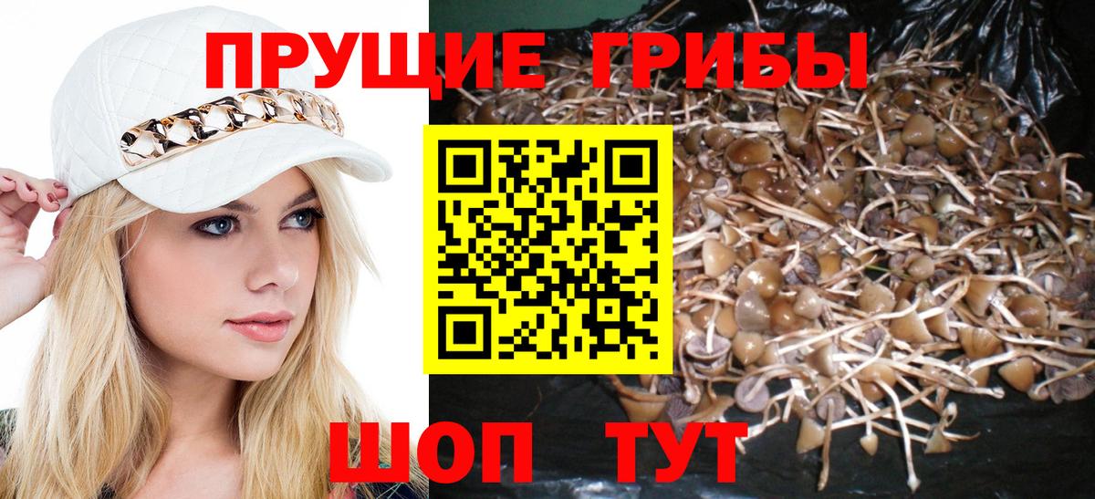Муром  Псилоцибиновые грибы Magic Shrooms  Вход с VPN 